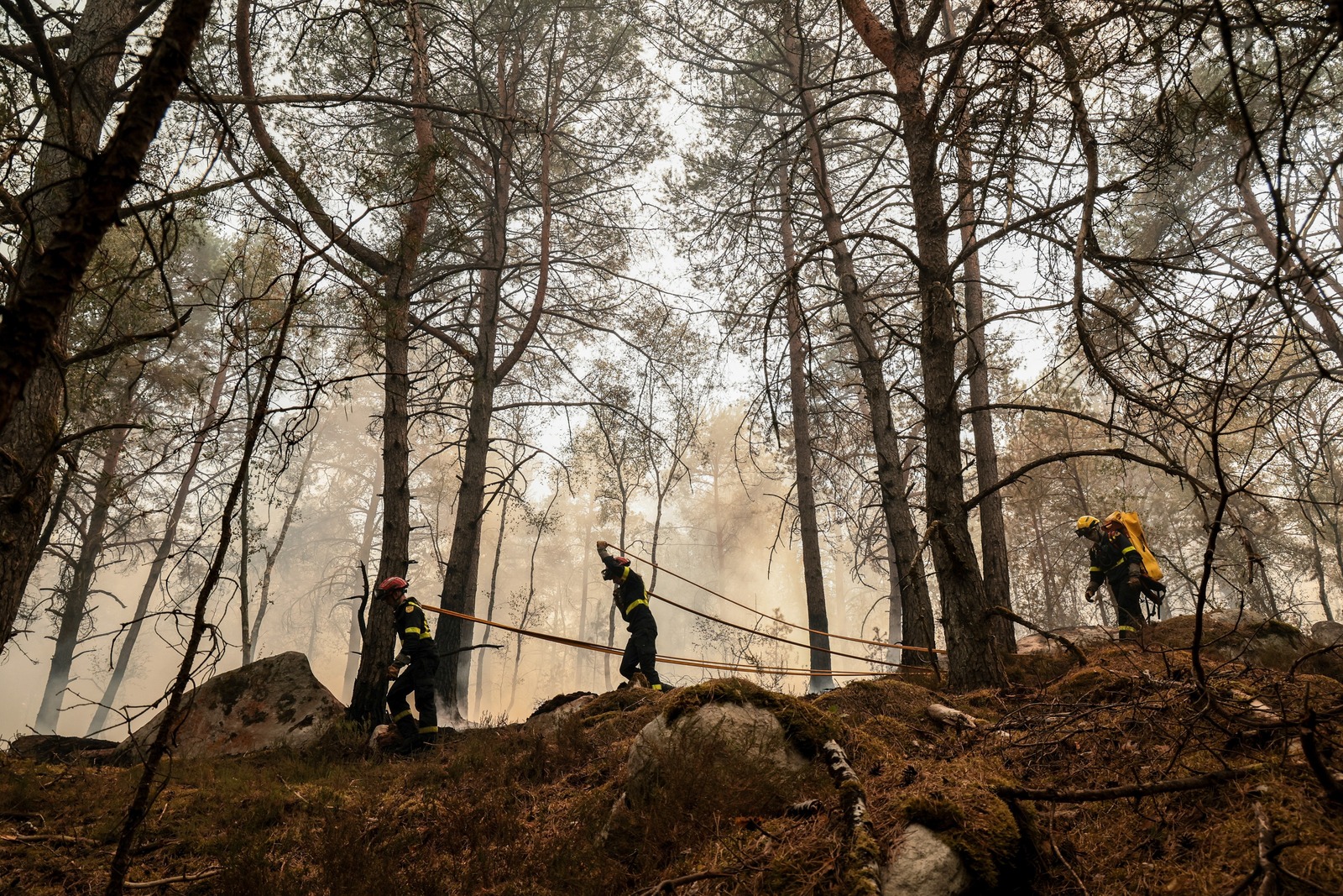 Incendio consume 800 hectáreas del bosque de Fontainebleau en Francia