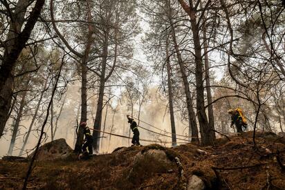 Incendio consume 800 hectáreas del bosque de Fontainebleau en Francia