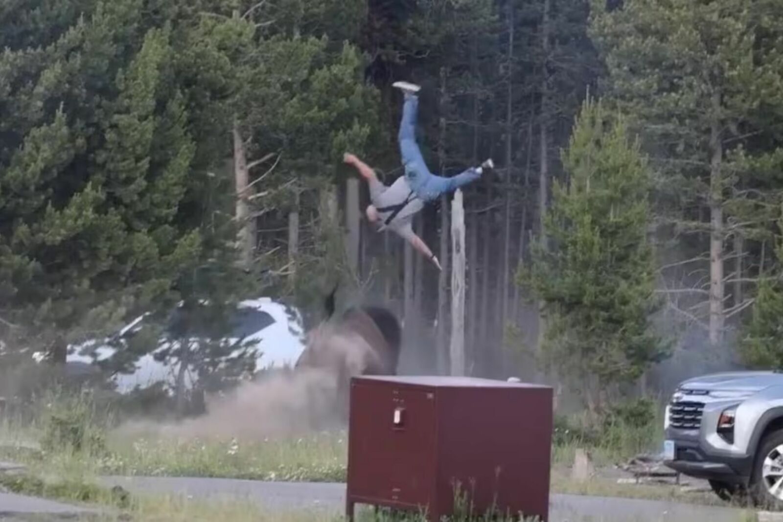Hombre embestido por un bisonte en Yellowstone sufrió múltiples fracturas