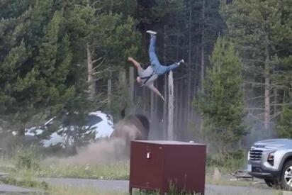 El turista atacado por un bisonte en Yellowstone permanece en recuperación tras una cirugía, luego de sufrir múltiples fracturas durante el incidente ocurrido