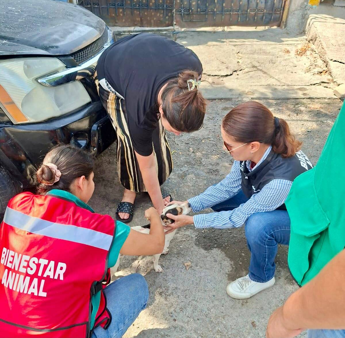 Gobierno Municipal fortalece acciones para proteger la salud de las mascotas