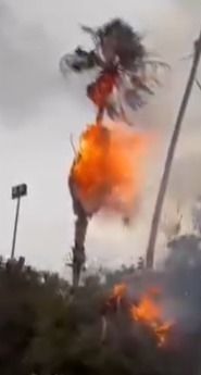 Cuatro Ciénegas