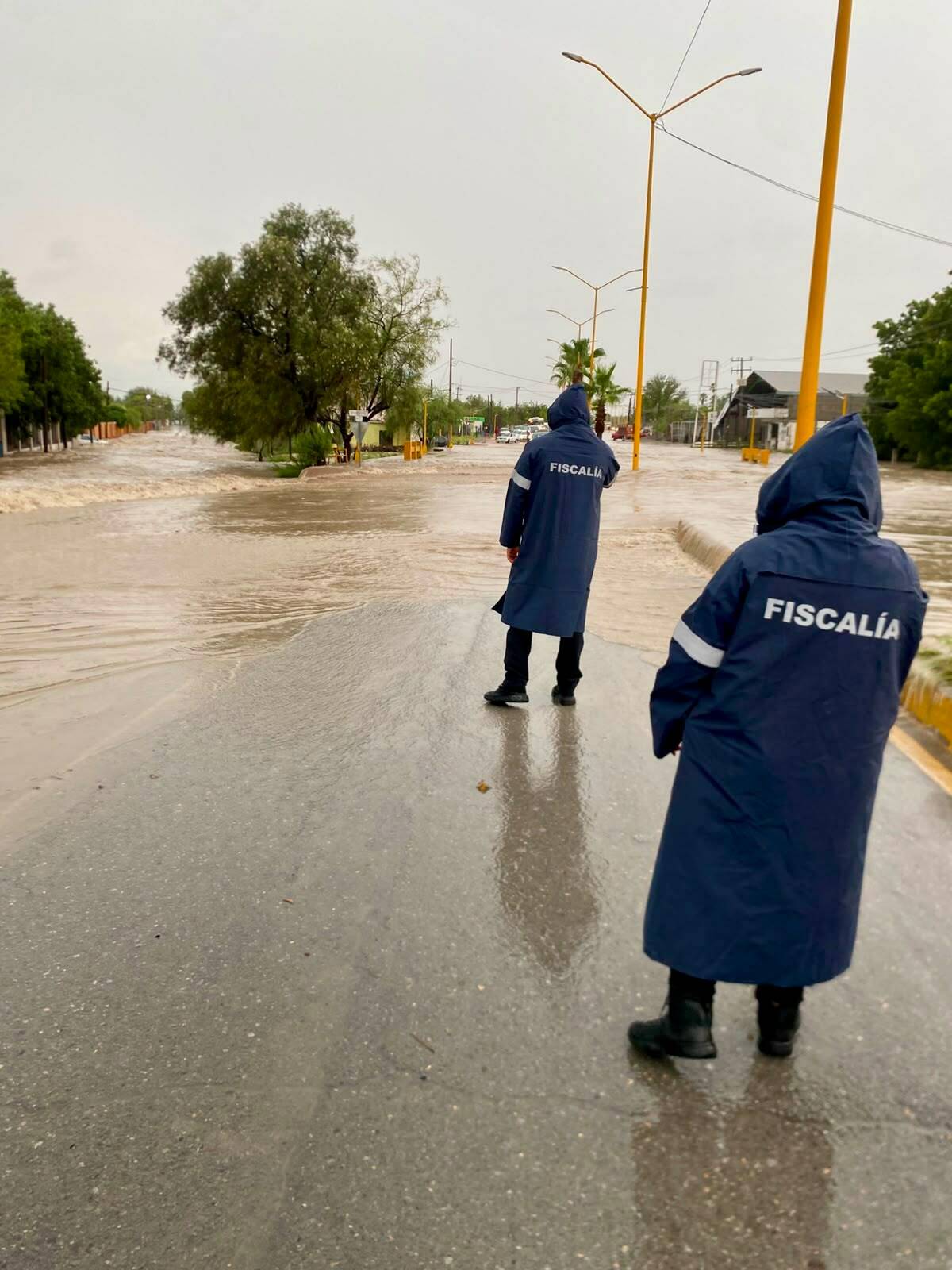 Seguridad