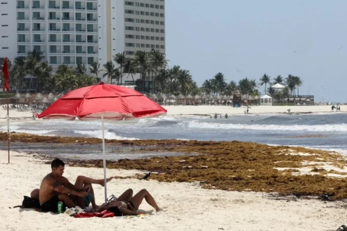 Menos turistas y más sargazo: la crisis que golpea a Quintana Roo