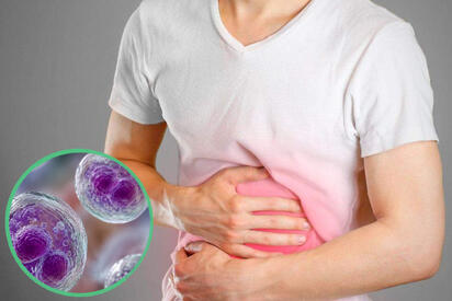 Infectólogo pide vigilar verduras ante riesgo de ciclosporiasis en México