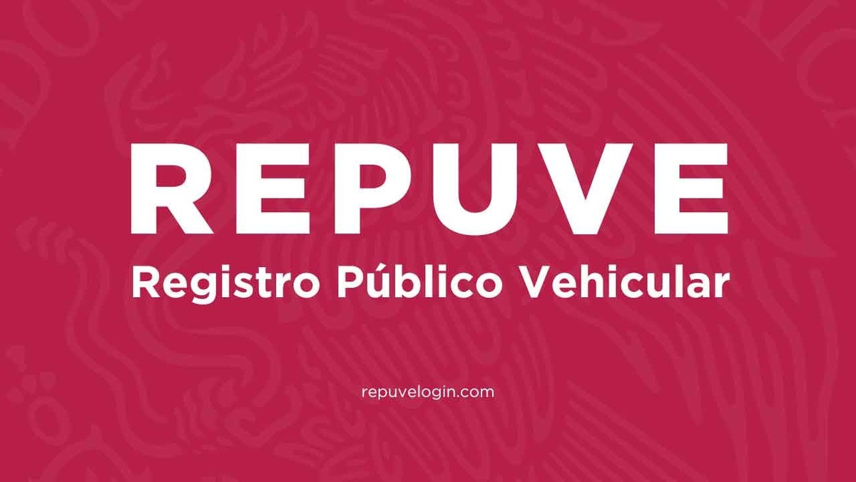 vehículos vehículos