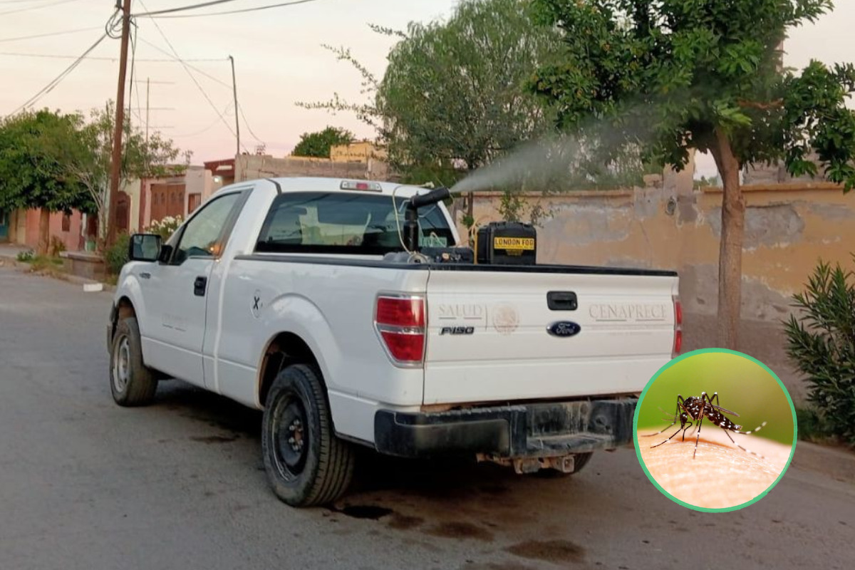 Brigadas de salud refuerzan fumigaciones gratuitas contra dengue en la región norte