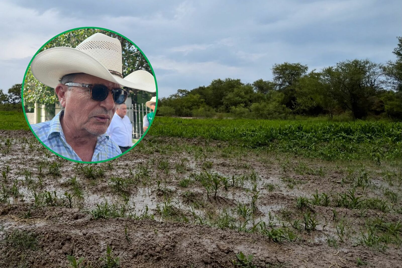 Lluvias recuperan al 100% los estanques y fortalecen la producción ganadera en Monclova