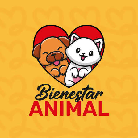 Piedras Negras refuerza acciones para reducir perros y gatos en la calle