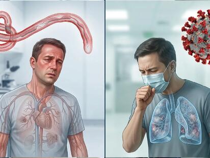 ¿Ébola o COVID-19? Así puedes distinguir dos virus muy distintos
