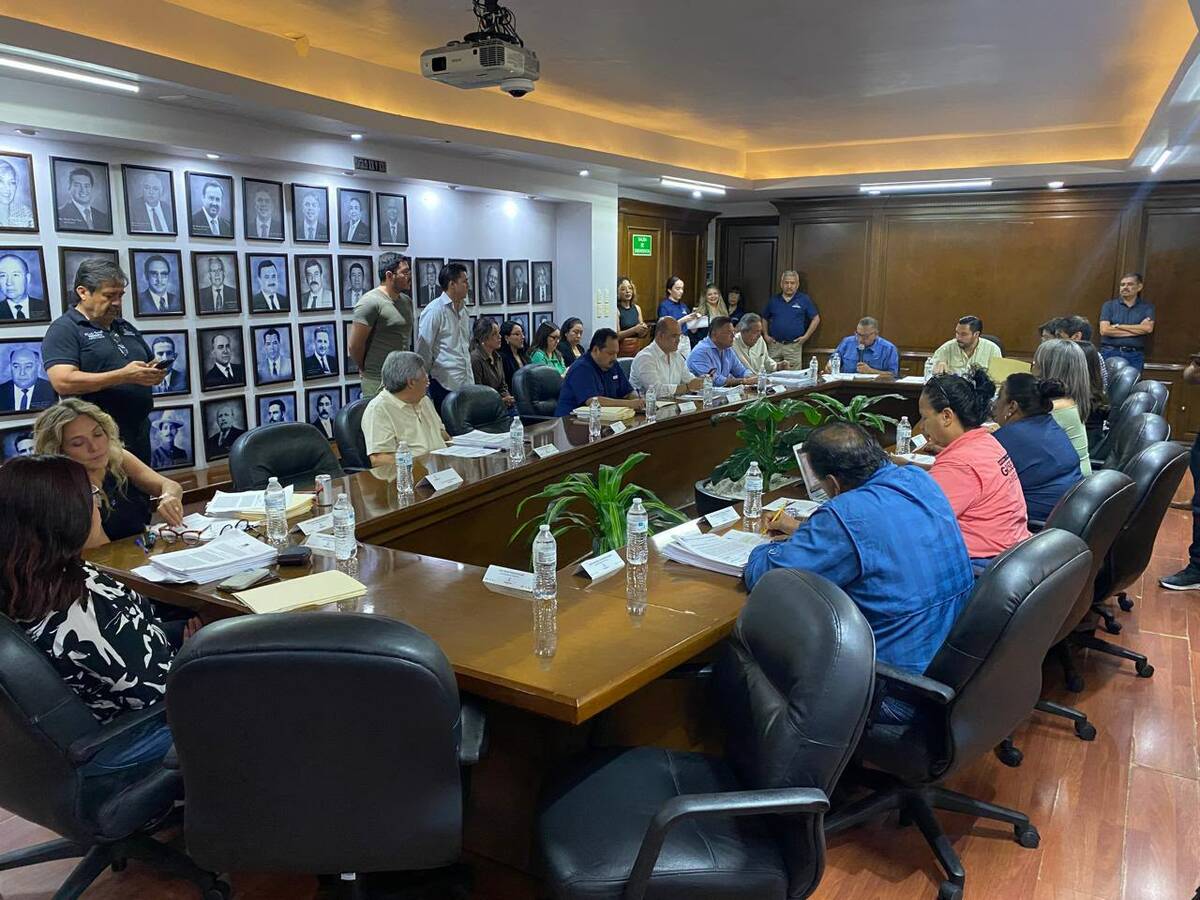 Aprueba Cabildo reformas al reglamento para fortalecer la protección y bienestar animal en Monclova