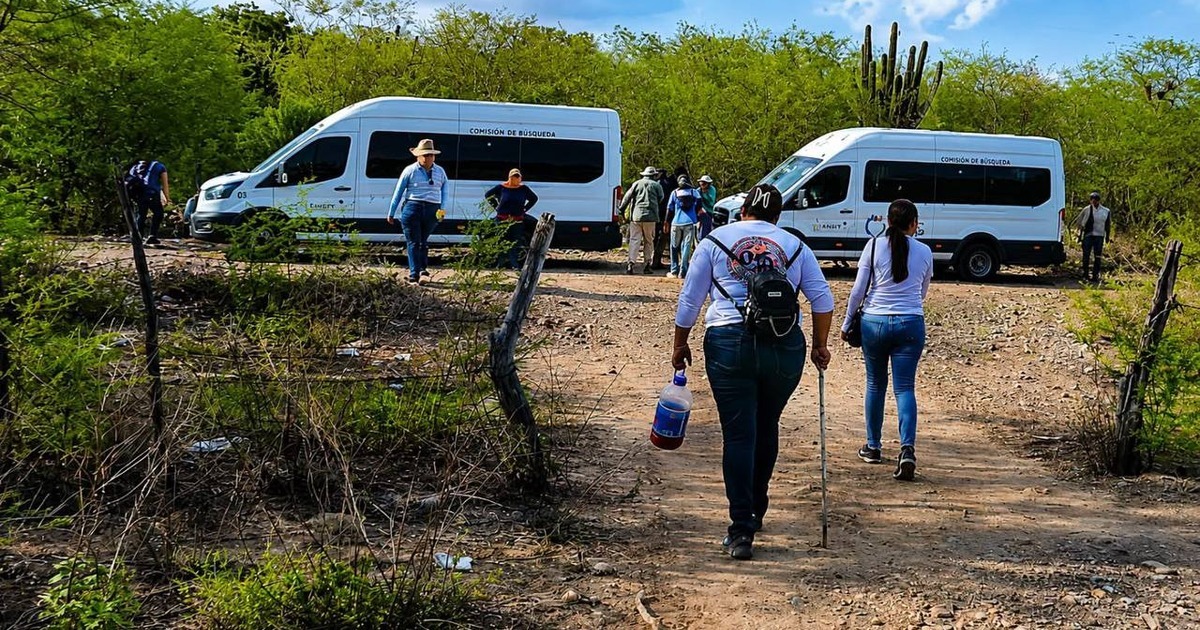 Colectivos de búsqueda localizan 4 cuerpos en fosas clandestinas en Elota, Sinaloa