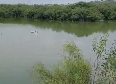 Aguas negras de Castaños llegan al Río Monclova