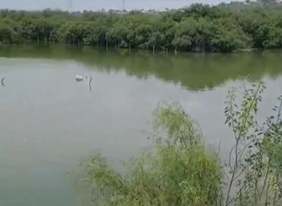 Historiador advierte que lluvias arrastran aguas contaminadas desde Castaños hasta el cauce del Río Monclova.  Tras las recientes lluvias registradas
