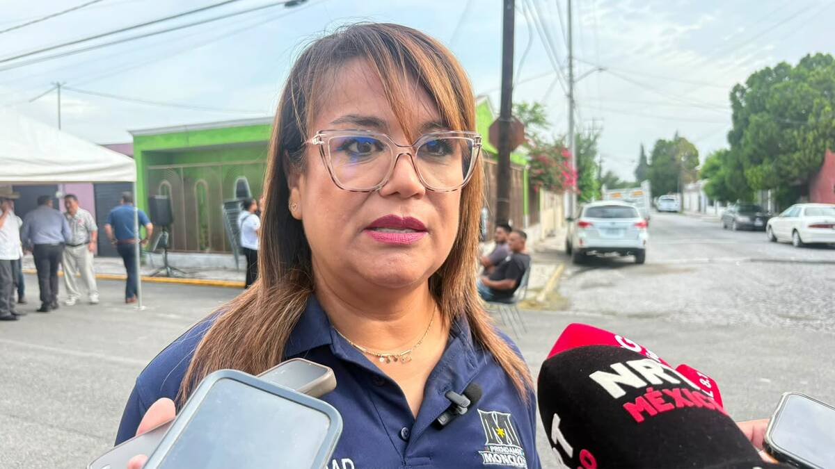 Reportes