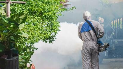 Aumentan 80% las solicitudes de fumigación por mosquitos en Torreón