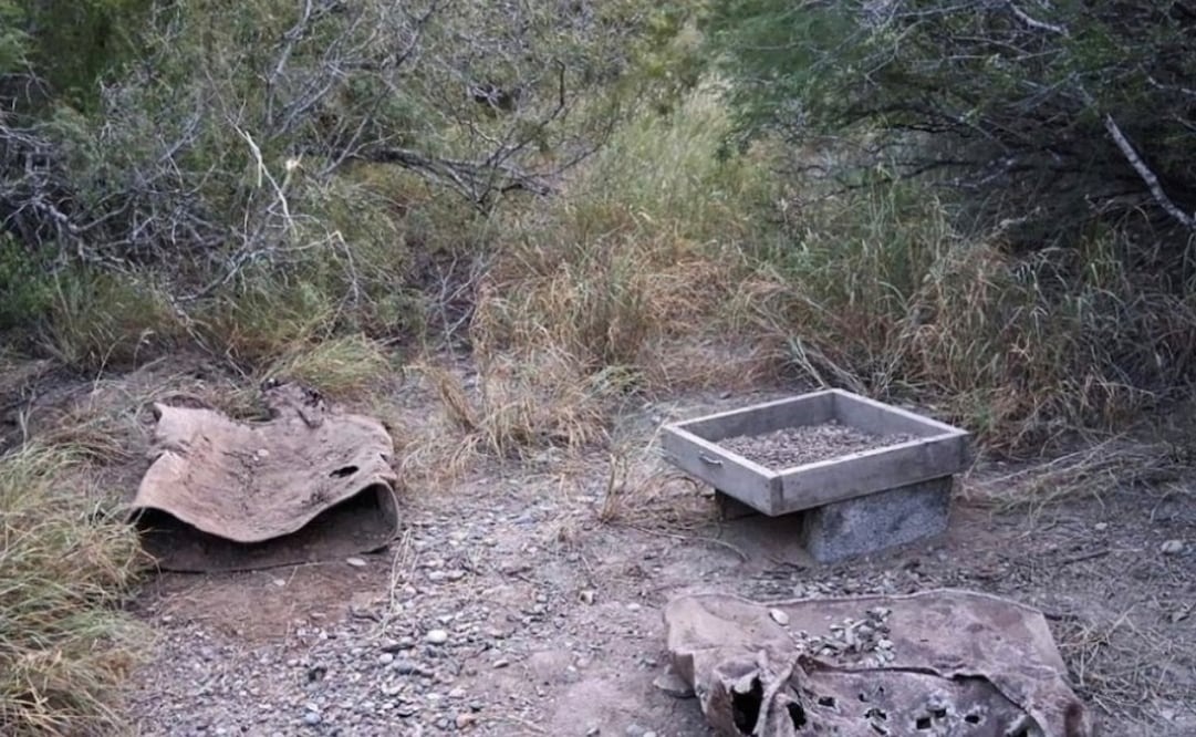 Hallan tambos con restos calcinados durante búsqueda en Reynosa, Tamaulipas