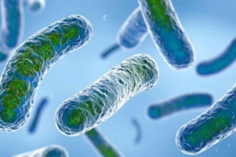Brote de legionella provoca dos muertos en Nueva York