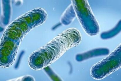 Brote de legionella provoca dos muertos en Nueva York