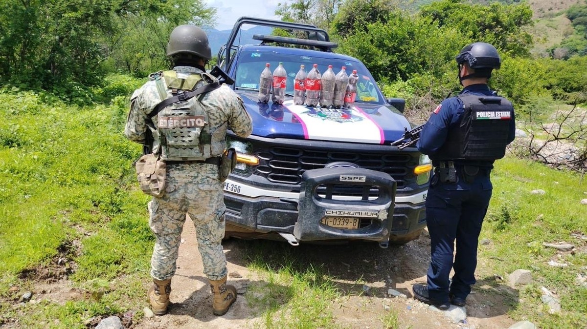 Ejército asegura 18 kilos de semilla de amapola durante operativo en Chihuahua