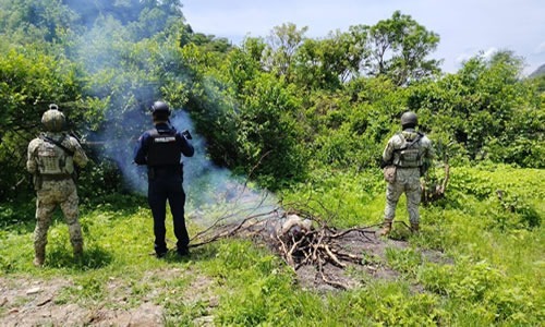 seguridad