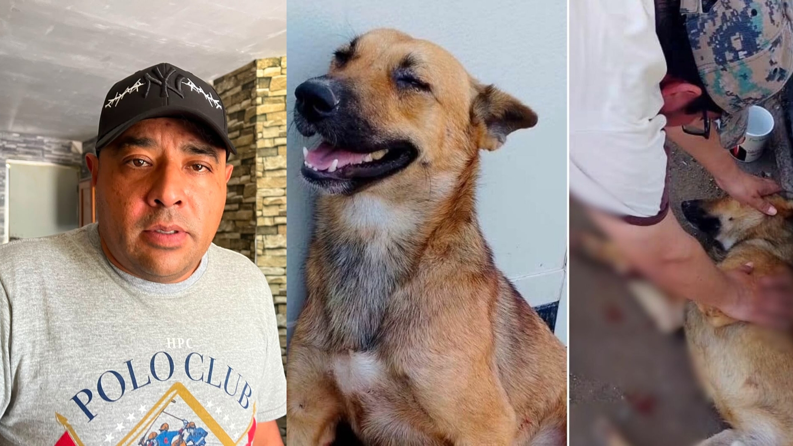 Sirio presuntamente no murió por disparos, fue atropellado