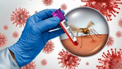 Refuerzan vigilancia por caso probable de dengue en colonia Los Olivos