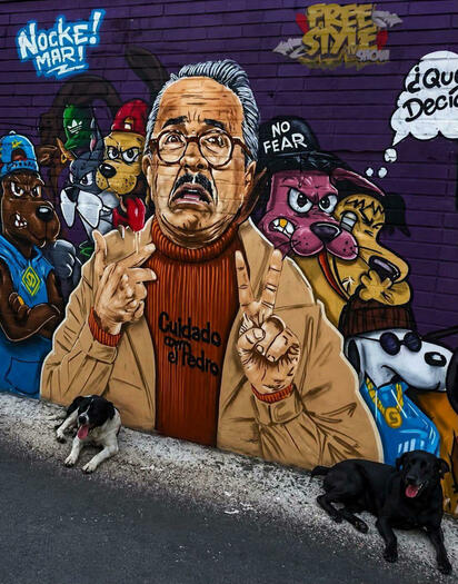 virales 'Cuidado con el Pedro': el mural que ridiculiza la polémica del conductor