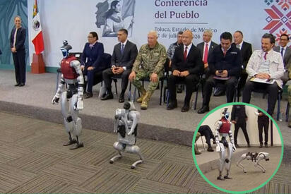Así son CeCi y K5, los robots que ayudarán a combatir el crimen en el Edomex