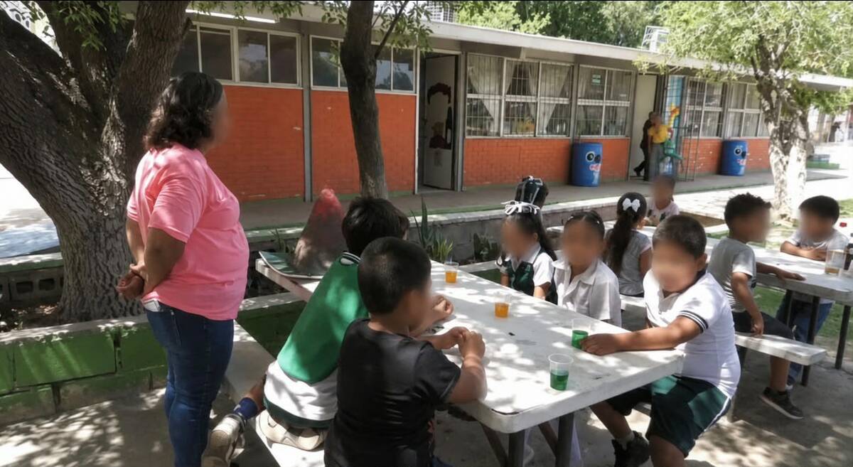 educación educación