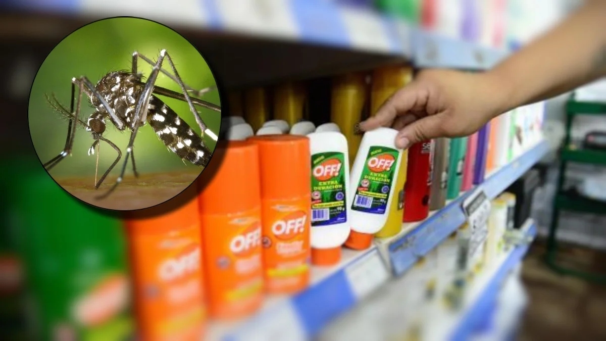 ¿Qué repelente protege contra el mosquito del dengue y cómo debe aplicarse?
