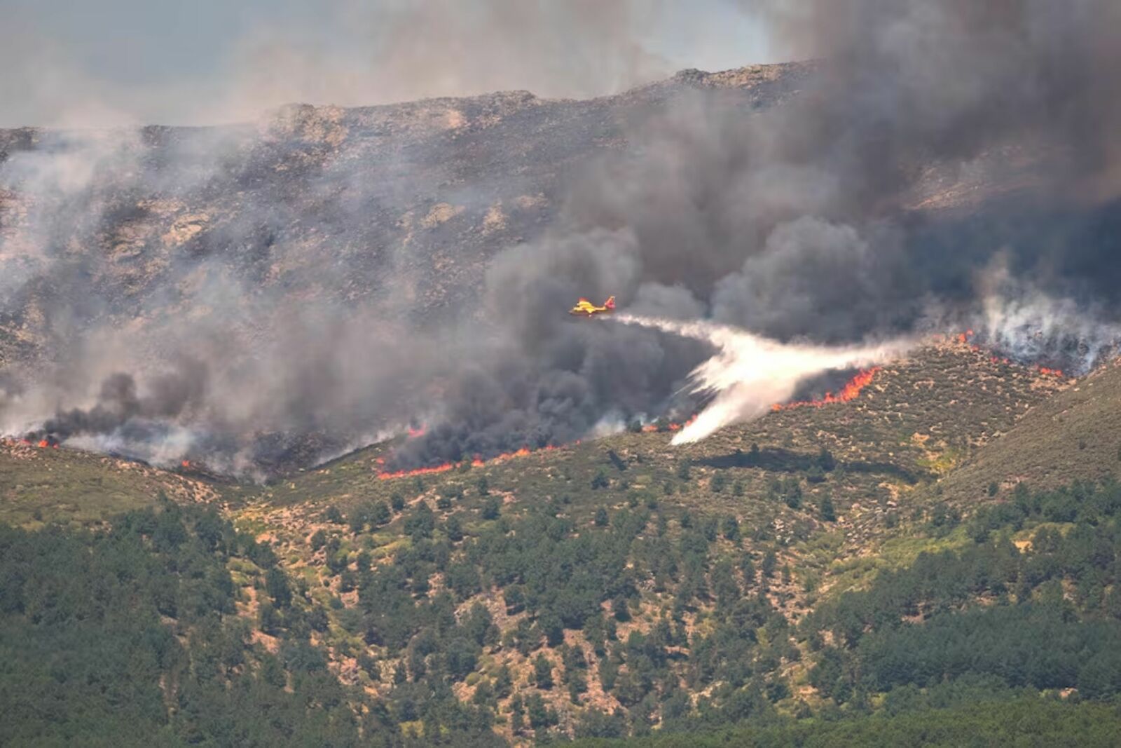 Incendios forestales obligan a desalojos masivos en España y Francia