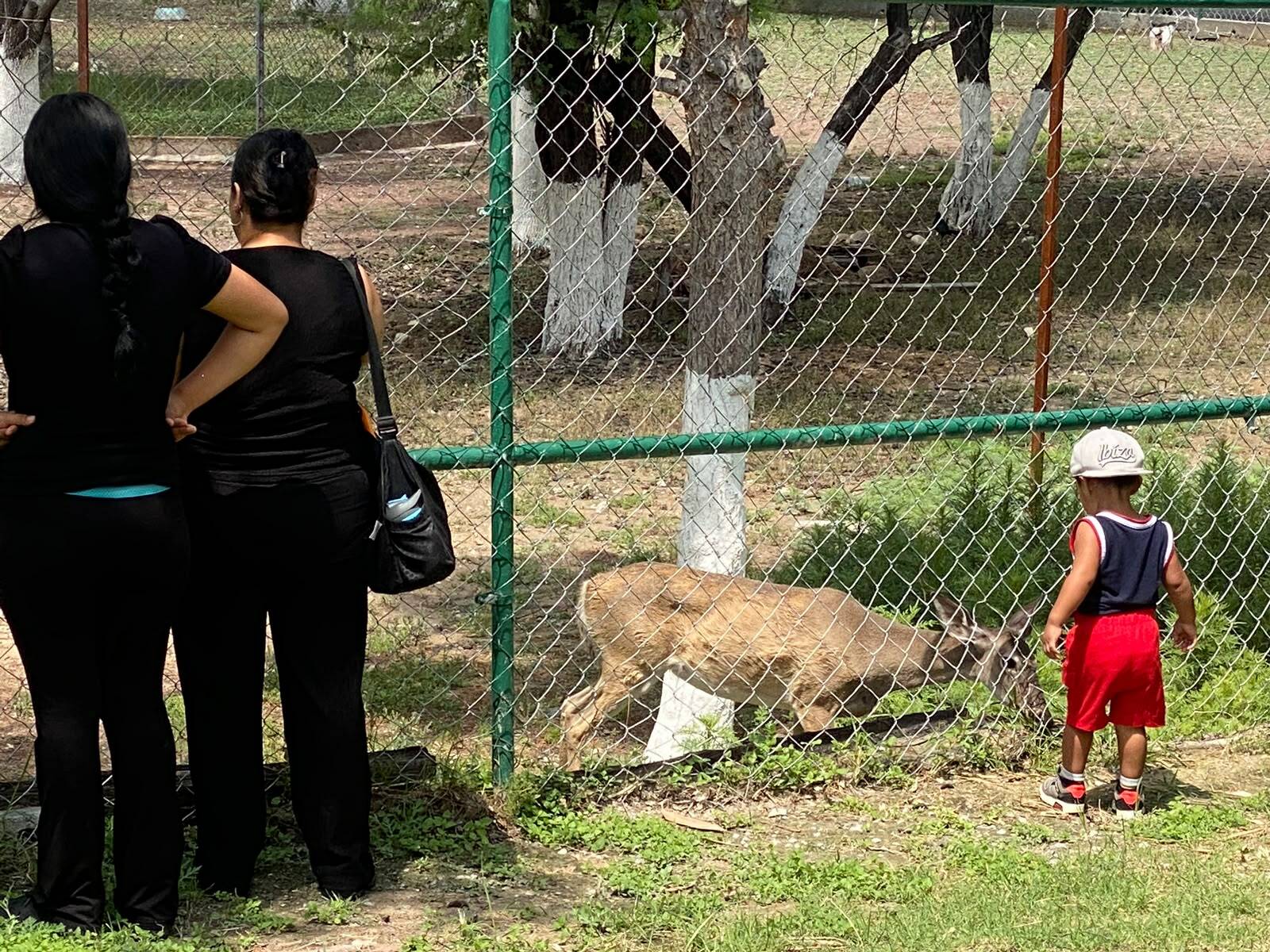 Ecoparque