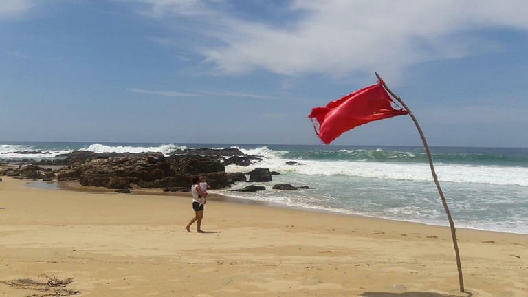 "Fueron arrastrados mar adentro": Momentos de tensión en Mazatlán por fenómeno del Pacífico