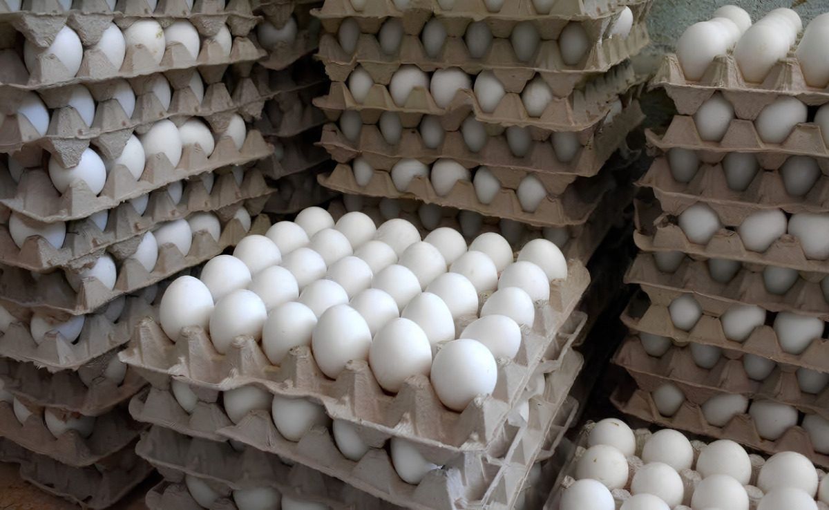 Retiran huevos en seis estados de EU por posible presencia de salmonela