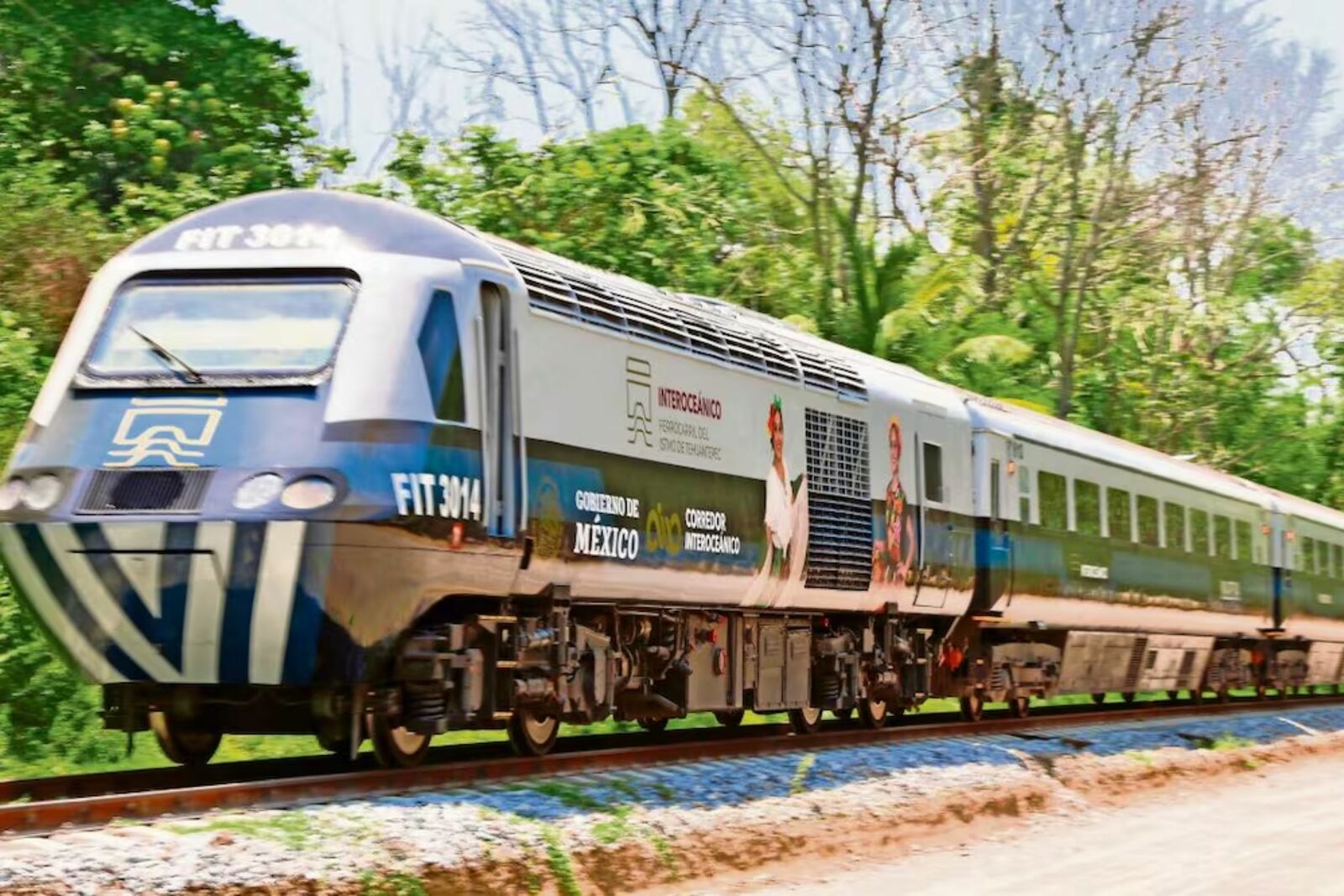 Tren Interoceánico registra un accidente cada 45 días desde su inauguración