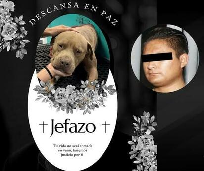 Lo vinculan a proceso por atacar a 2 personas y matar a un perro