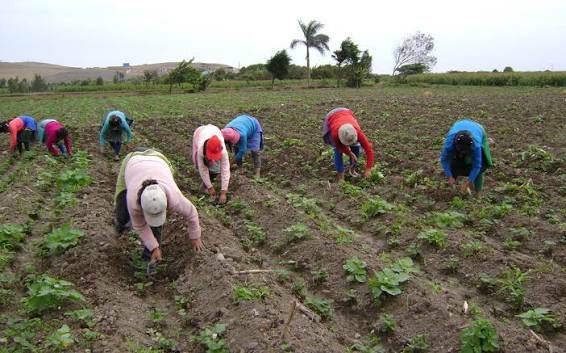 Inicia entrega de predios agropecuarios en Piedras Negras; beneficiarán a cientos de familias del sector rural