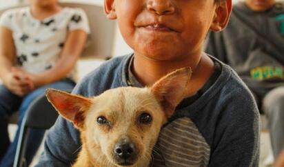 DIF Nueva Rosita fortalece acciones para bienestar de mascotas
