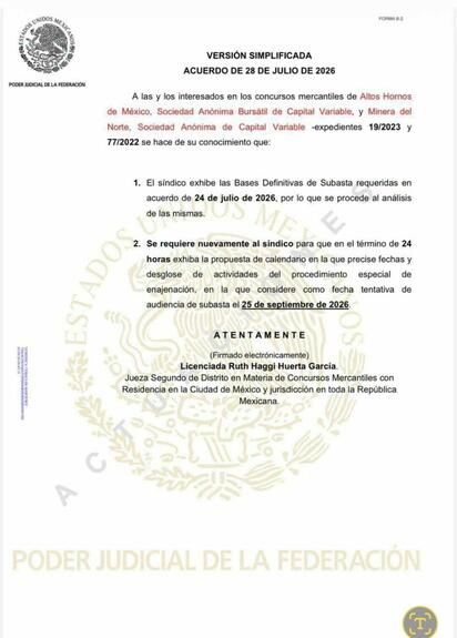 Subasta de AHMSA se perfila para el 25 de septiembre