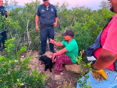 Operativo de emergencia permite rescatar a hombre extraviado en monte de Múzquiz 