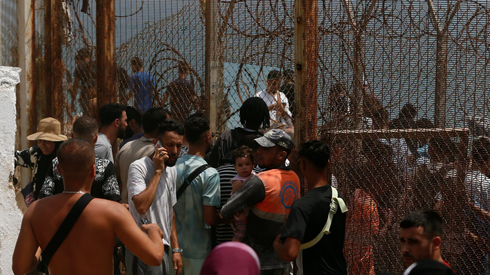 Migración