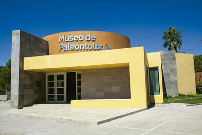 Dinosaurios y fósiles: Museo de Múzquiz prepara curso infantil