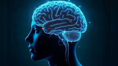 Día Mundial de la Salud Cerebral: 4 hábitos para cuidar el cerebro