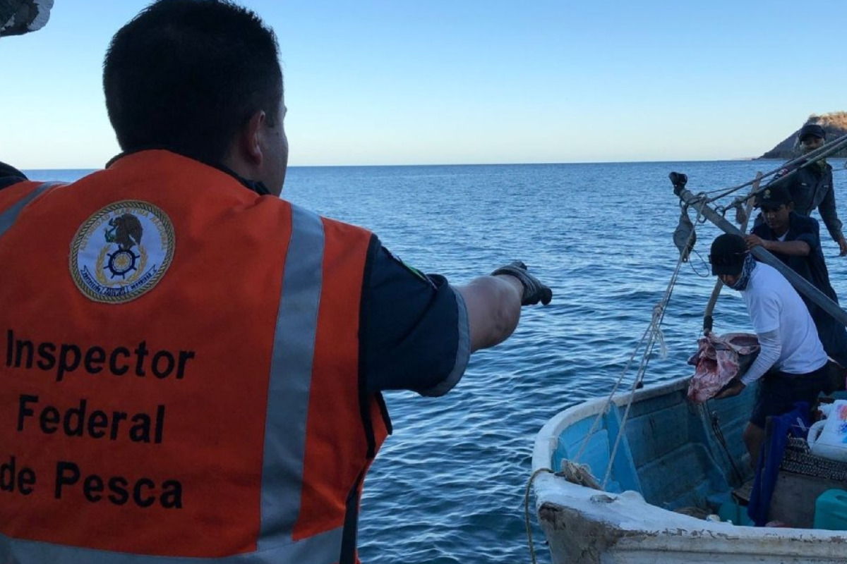 pesca ilegal pesca ilegal