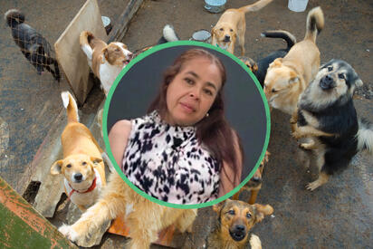 Exigen justicia por Elvia, defensora de animales: fue víctima de feminicidio