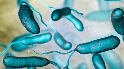 Autoridades alertan por casos de bacteria 'come carne' en Florida