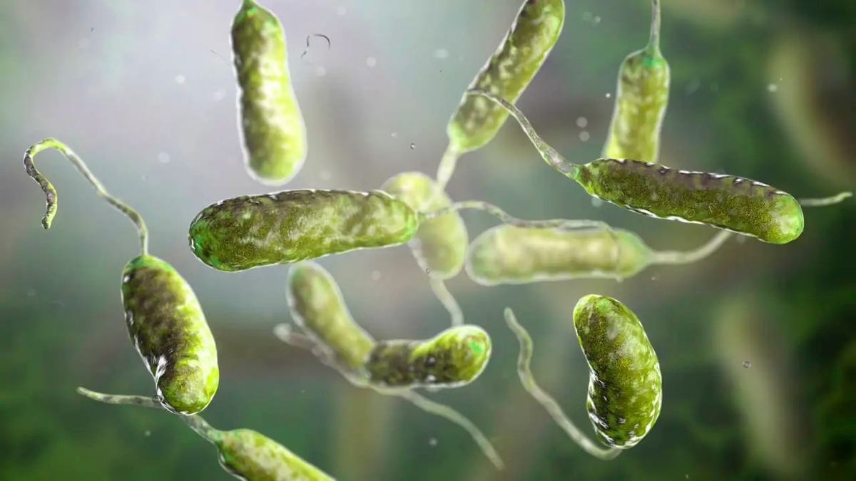 ¿Hay riesgo en México por la bacteria 'come carne'? Conoce qué es, sus síntomas y cómo se contagia