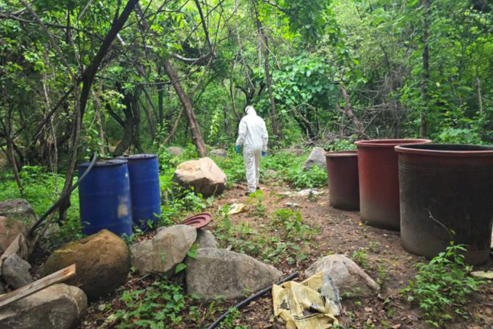 Semar y FGR destruyen tres laboratorios clandestinos en Sinaloa