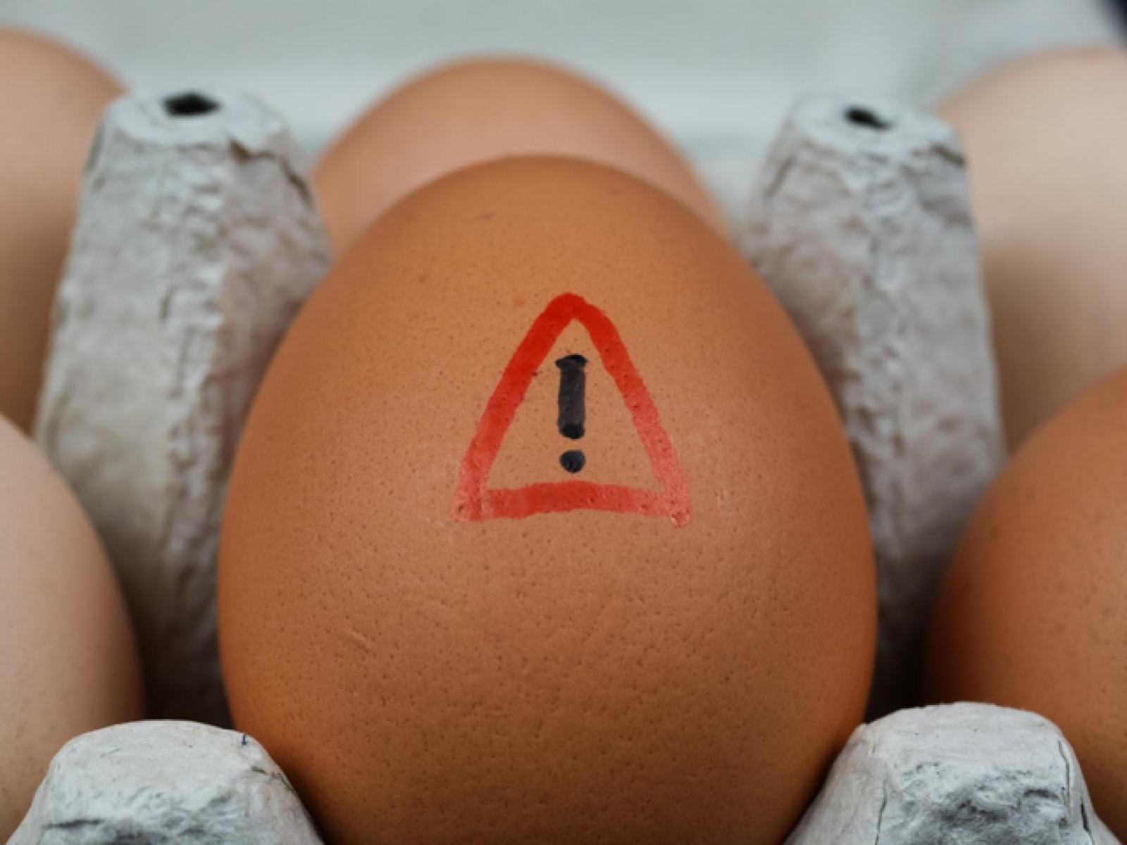 A pesar de los avances en las medidas de seguridad alimentaria y los controles de calidad, la bacteria Salmonella continúa representando un importante
